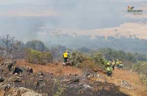 Bomberos forestales hallan una fosa con varios cadáveres al apagar un incendio en Toledo