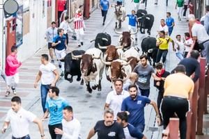 Guadalajara concluye sus encierros con éxito y un nuevo recorrido