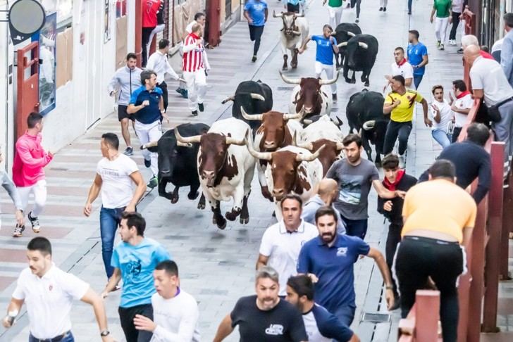Guadalajara concluye sus encierros con éxito y un nuevo recorrido