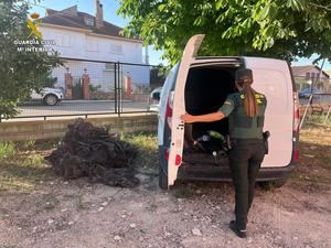 Tres detenidos en Maranchón con numerosos antecedentes policiales tras evadirse de un control policial