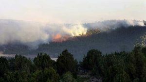 Controlado el incendio en el Parque Natural del Alto Tajo, en Guadalajara