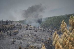 Regresan a sus casas más vecinos afectados por el incendio de La Mierla, que se mantiene en 32.000 hectáreas