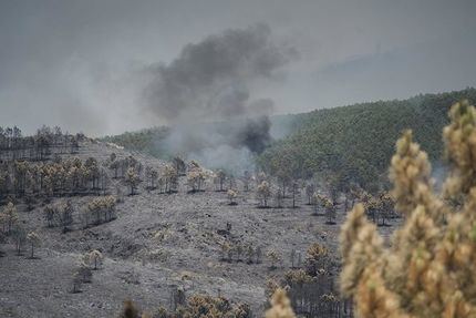 Regresan a sus casas más vecinos afectados por el incendio de La Mierla, que se mantiene en 32.000 hectáreas