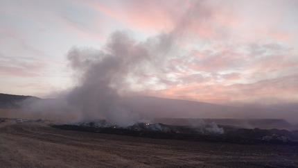 El incendio de La Mierla (Guadalajara) frena su avance a Soria y afecta ya a unas 29.000 hectáreas
