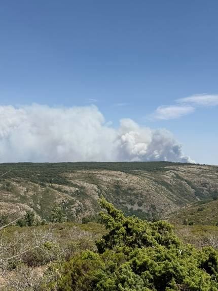El PP de Guadalajara pide unidad, más medios y todo el apoyo del Estado para extinguir el incendio de la Sierra Norte