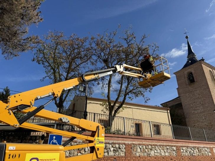 Continúa la poda de árboles en Quer hasta fin de mes