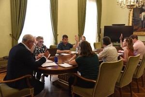 Brihuega renovará pavimento y redes de dos calles con 241.000 € de la Diputación