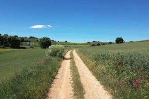 Diputación de Guadalajara invertirá 1,2 millones en caminos rurales en 2026