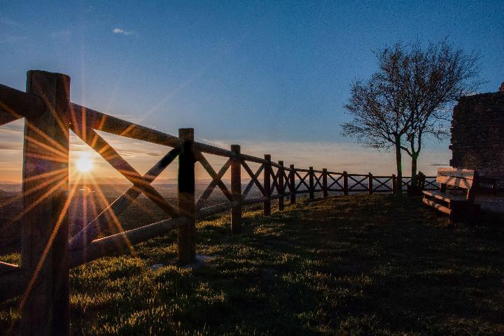Ganadores del I Concurso de Fotografía de Fiestas Tradicionales de Guadalajara 2026