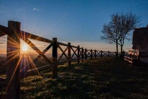 Ganadores del I Concurso de Fotografía de Fiestas Tradicionales de Guadalajara 2026