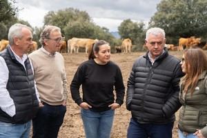 La Diputación de Guadalajara destina 300.000 € a ayudas para collares de vallado virtual en ganadería