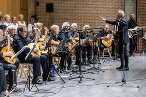 La Rondalla del Infantado celebra el fin de curso con un emotivo concierto