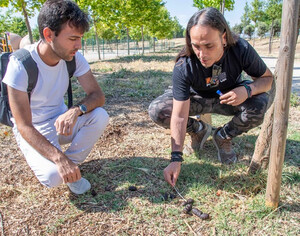 Marchamalo inicia sanciones por heces de perros gracias al ADN canino