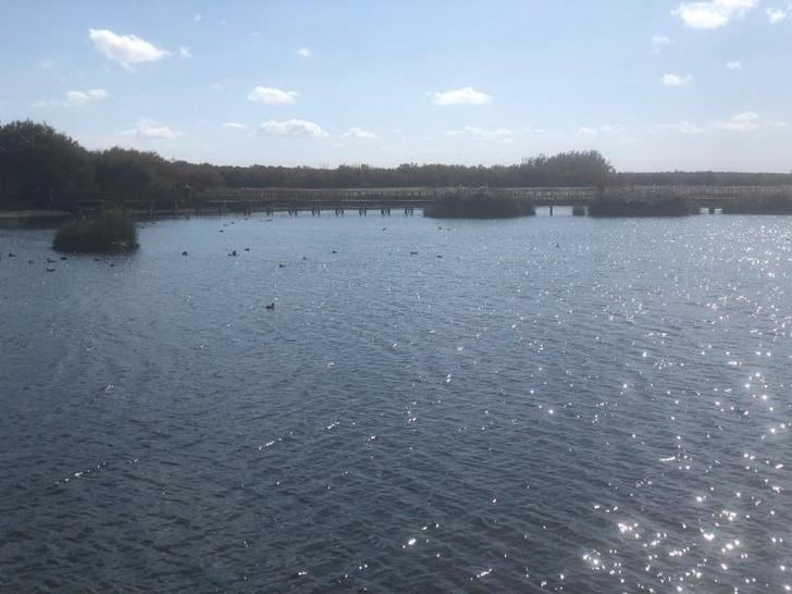 El alcalde de Daimiel expresa su preocupación por la situación del Parque Nacional de Las Tablas