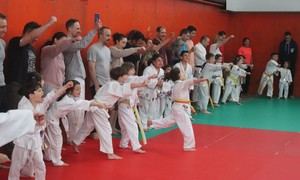 Éxito en la jornada de Judo en Familia en Cabanillas