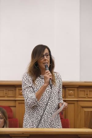 PP-CLM : Los presupuestos son insuficientes y están llenos de propaganda. No contemplan una apuesta decidida por sacar a la región del vagón de cola