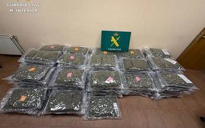 Detienen a un hombre en Toledo cuando transportaba 153 kilos de marihuana hacia Madrid