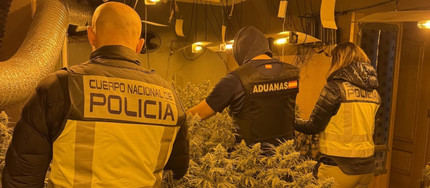 Un fuerte olor a marihuana delata un cultivo en Torrejón del Rey