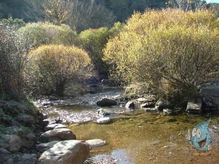 La MAS estudia la necesidad de reforzar de forma preventiva los procesos de tratamiento ante el posible impacto del incendio de La Mierla en la calidad del agua
