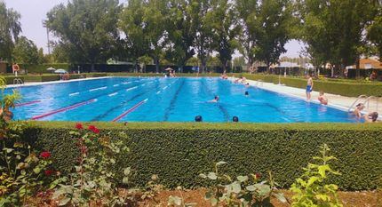 Clausurada la Piscina Municipal de Verano de Almansa tras la detección de ratas en las instalaciones