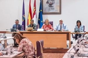 Asuntos económicos y colaboración con la Fundación NIPACE para mejorar la calidad de vida de los niños con parálisis cerebral centran el Pleno municipal