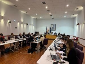 El Pleno aprueba inversiones por importe de 7 millones de euros para la estrategia transformadora de la ciudad y un camión autoescala para los bomberos