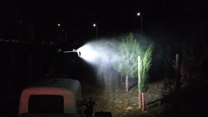 El Ayuntamiento de Azuqueca actúa contra la procesionaria del pino