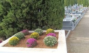 Cementerio Municipal se prepara para Todos los Santos con limpieza y embellecimiento