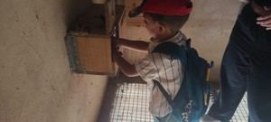 Quer refuerza su compromiso con la biodiversidad mediante el proyecto del Primillar