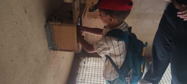 Quer refuerza su compromiso con la biodiversidad mediante el proyecto del Primillar