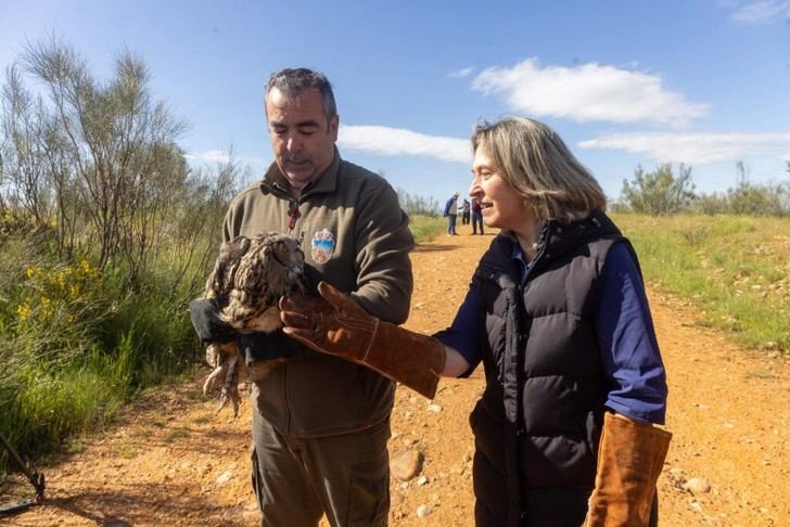 Suelta de un búho real en Usanos tras su recuperación en Guadalajara