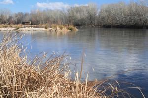 Azuqueca de Henares elimina las visitas de fin de semana a la Reserva Ornitológica