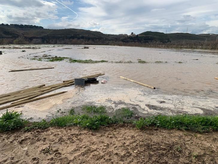 Ni limpian ni nos dejan limpiar, el lamento de los agricultores ante el estado de los cauces de los ríos