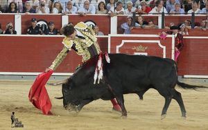 Roca Rey confirma su presencia en la corrida del próximo 16 de mayo en Talavera