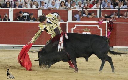 Roca Rey confirma su presencia en la corrida del próximo 16 de mayo en Talavera