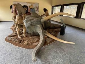 El CIPAT de Tamajón estrena escena de cacería y figura de Homo sapiens en su Semana Cultural