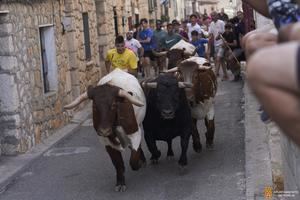 Éxito rotundo de las Fiestas de Torija: gran afluencia de público, seguridad y reactivación económica