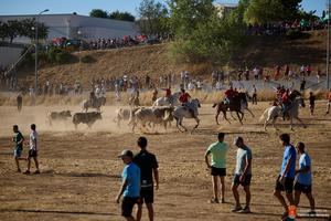 Tórtola de Henares cierra unas multitudinarias y participativas Fiestas de Verano 2026