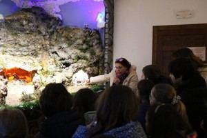 Guadalajara presenta variada programación navideña para toda la familia