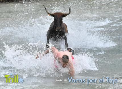 El 30º aniversario de las Vacas por el Tajo y el regreso de Perreosfera, platos fuertes de la Feria Chica de Trillo