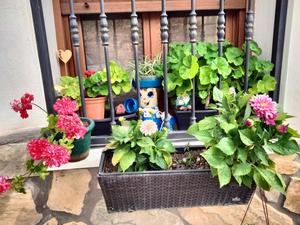 Cogolludo premia a las ganadoras del IV Concurso de Embellecimiento de Fachadas y Balcones