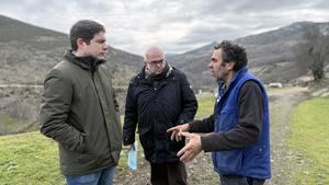 VOX propone ayudas provinciales para el pienso de mastines que protegen al ganado frente a los ataques de lobo en Guadalajara