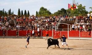 Cabanillas del Campo celebra su primer encierro urbano en las Fiestas 2026