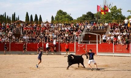Cabanillas del Campo celebra su primer encierro urbano en las Fiestas 2026