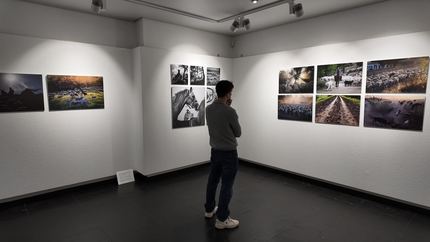 El viaje de los pastores trashumantes protagoniza la nueva exposición en Fundación IBERCAJA Guadalajara