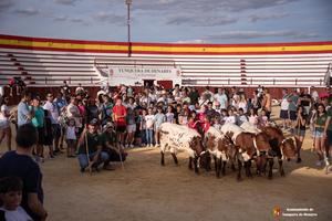 Yunquera culmina una intensa semana de actos previos antes de sus días grandes