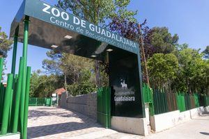 Capturado y trasladado al Zoo de Guadalajara el corzo avistado en el entorno de La Concordia