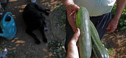 (Foto: Guillermo Chicharro )