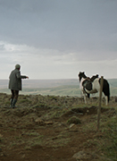 De caballos y hombres