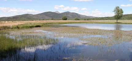 Tamajón recupera el entorno de la laguna de Cantarranas